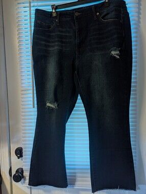 Terra & Sky Dark Wash Distressed Women’s Jeans
